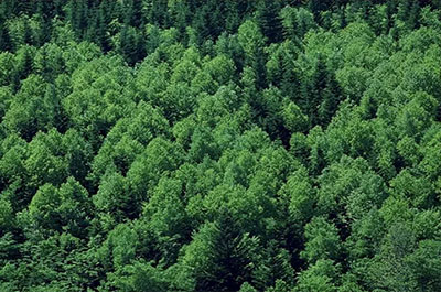 Eco-friendly trends in construction equipment design: shaping a sustainable future